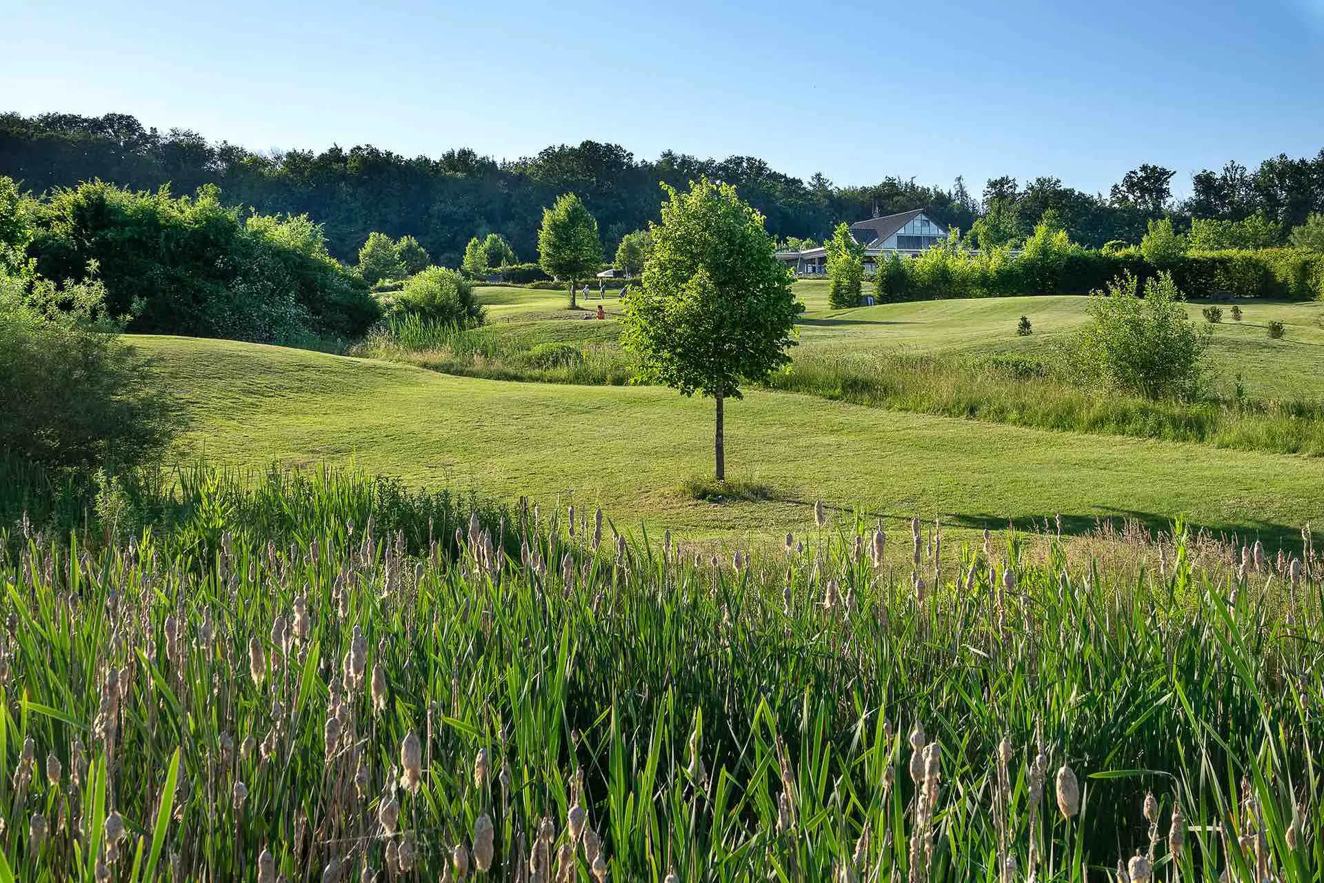 Golf-Club-Hammetweil_Natur-pur.jpg
